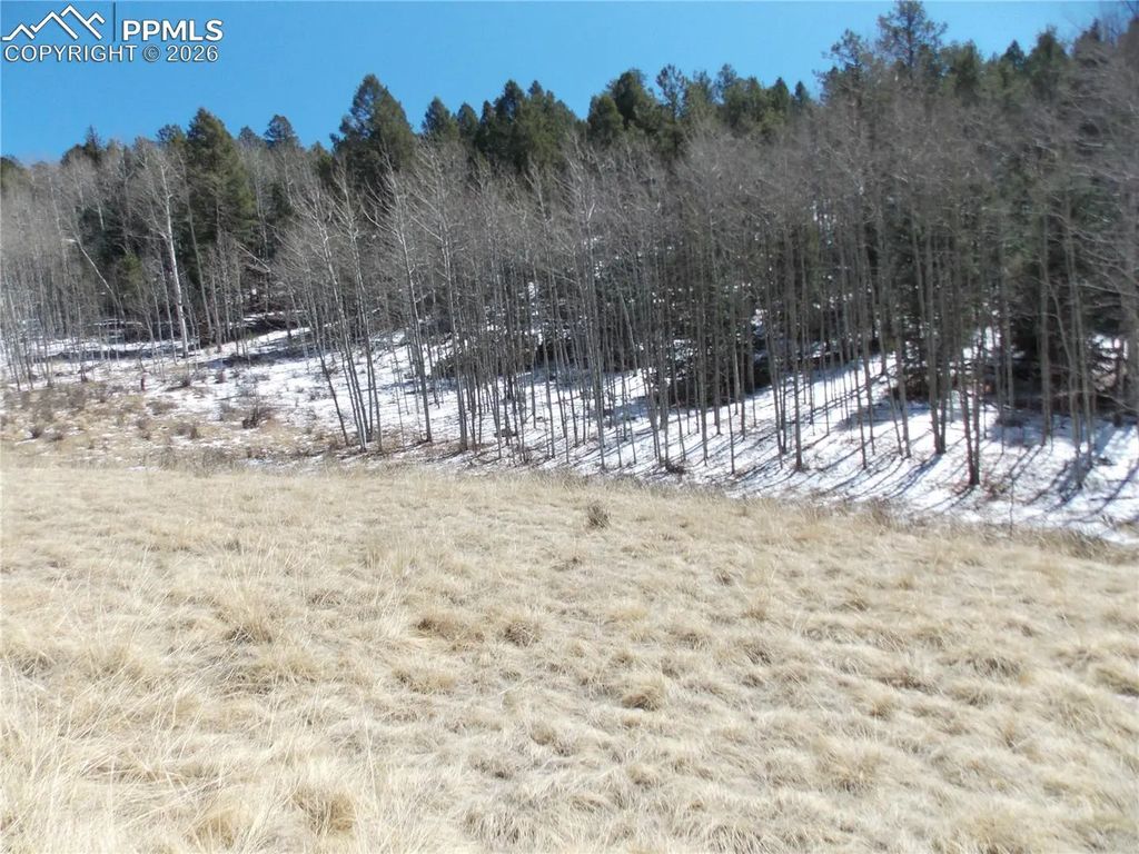 388 Grey Eagle Drive, Cripple Creek
