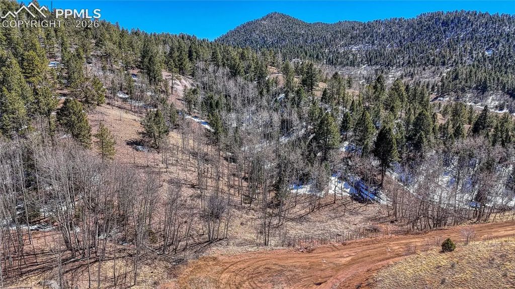 513 Last Dollar Drive, Cripple Creek