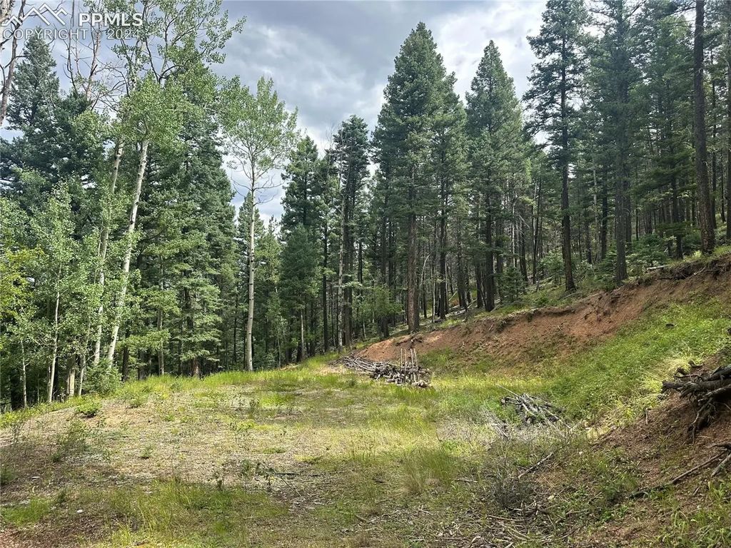 272 Fern Valley Road, Manitou Springs