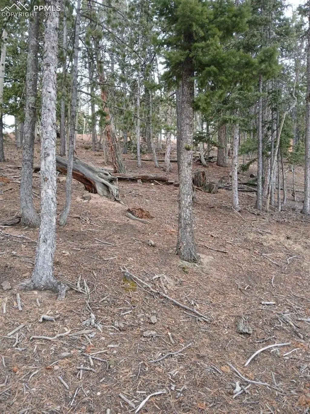 495 Wakanda Trail, Woodland Park