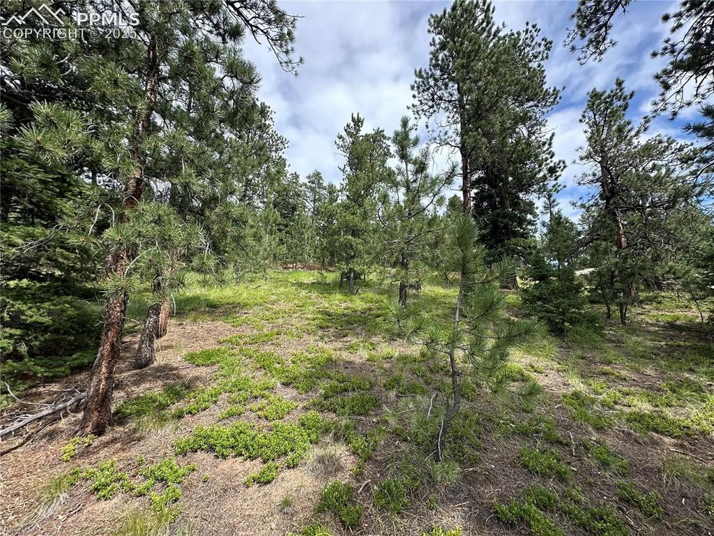 116 Happy Valley Road, Manitou Springs