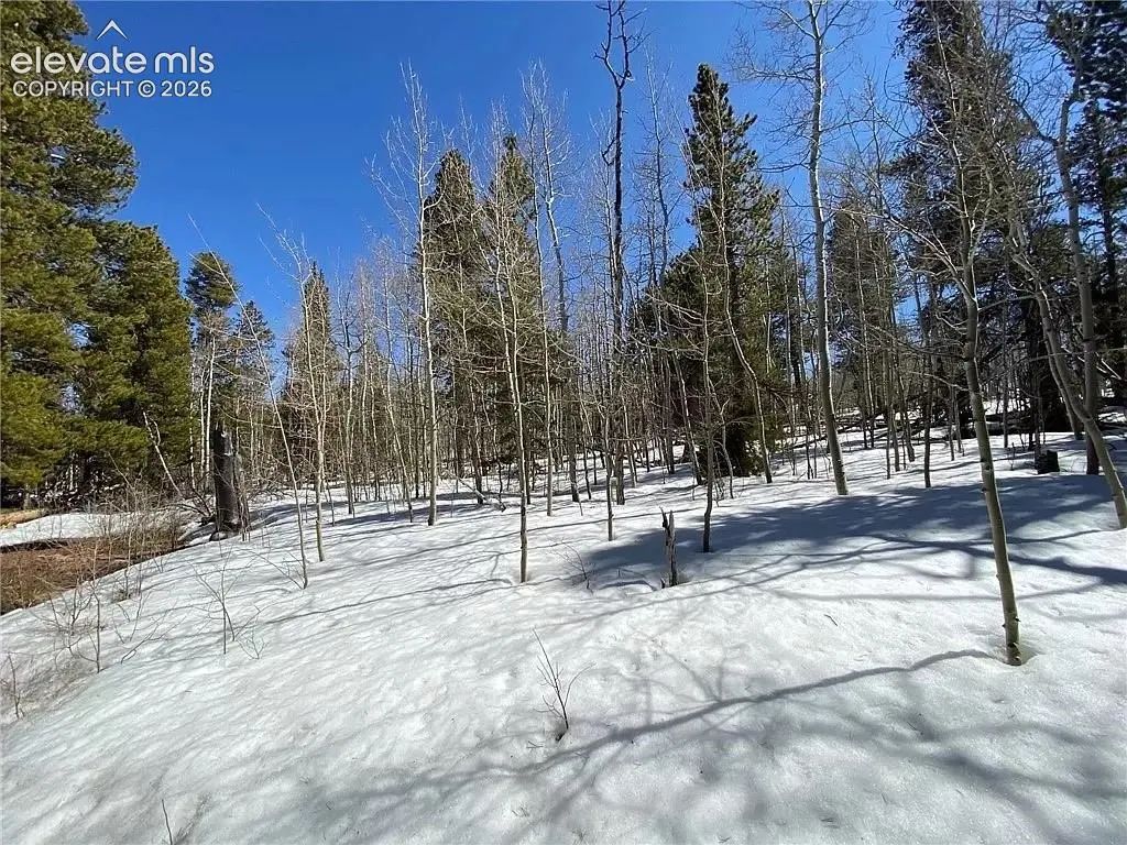 2202 High Creek Road, Fairplay