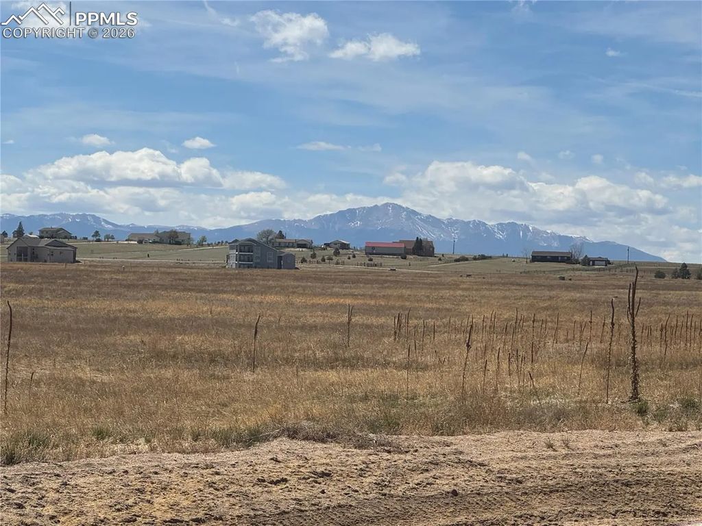 7828 Benito Wells Trail, Peyton