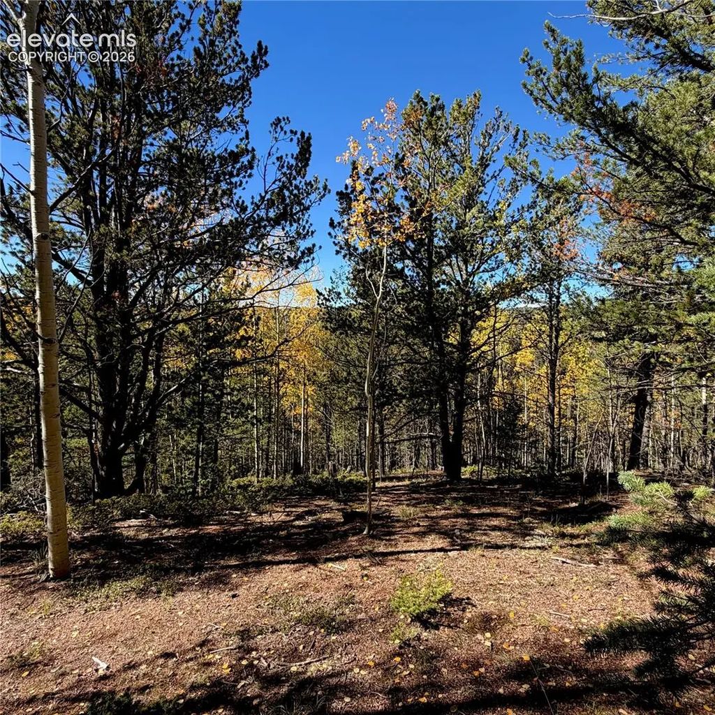 773 Timber Ridge Road, Divide