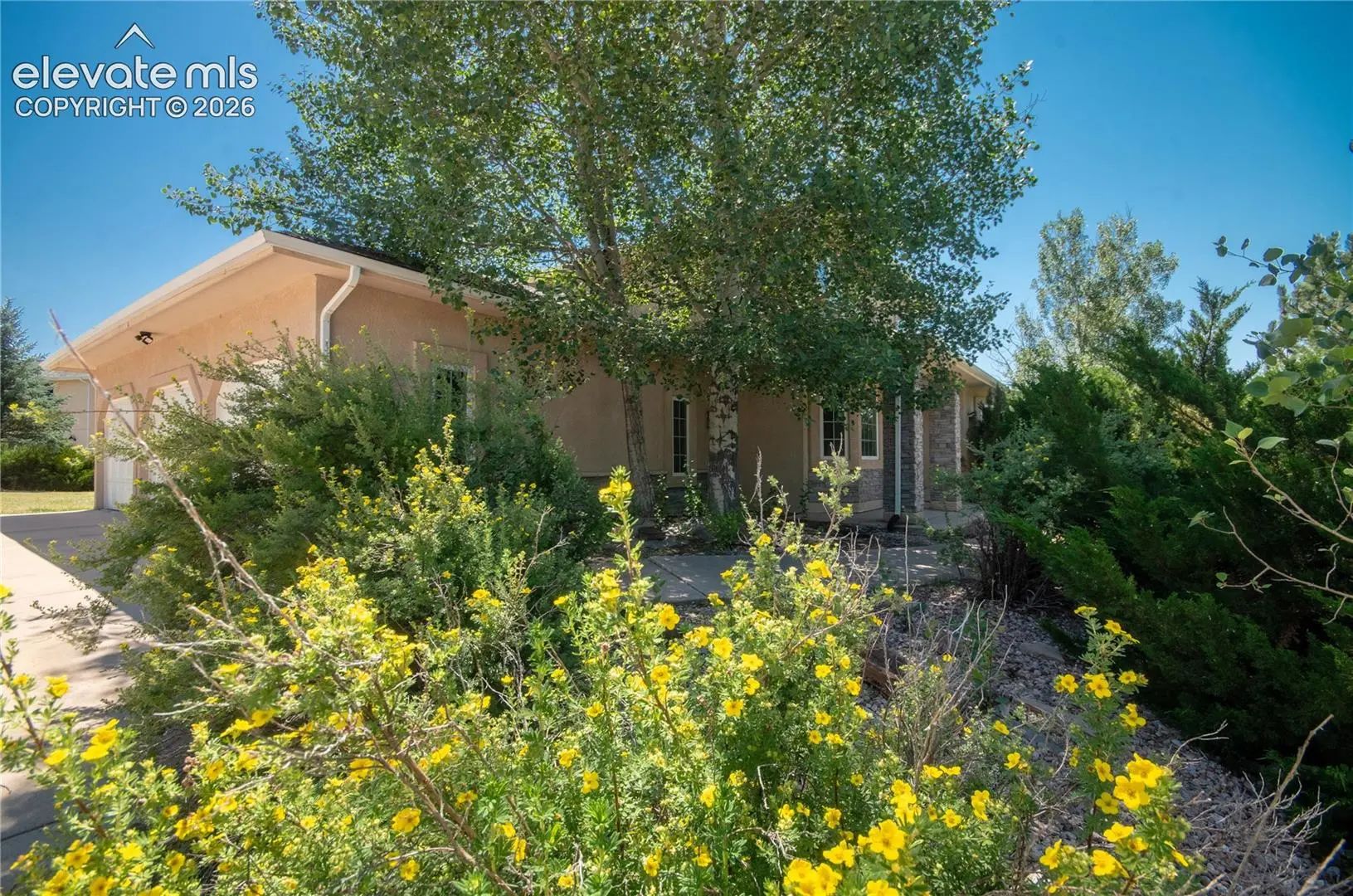 6516389, Residential, 19558 Fox Trail Way, Monument, CO, Woodmoor Highlands II, 80132