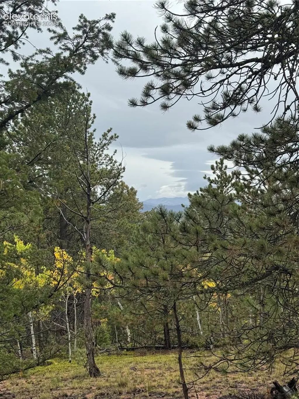 7935 County Road 51, Divide
