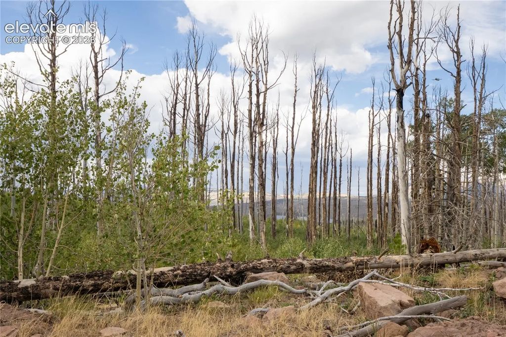 Lot 1947 Hilda Lane, Fort Garland