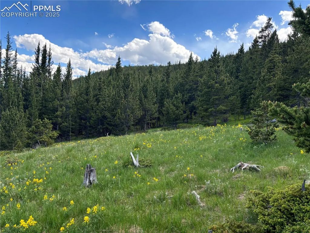 Hilltop Road, Idaho Springs