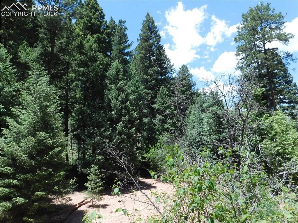 13175 Spruce Creek Circle, Larkspur