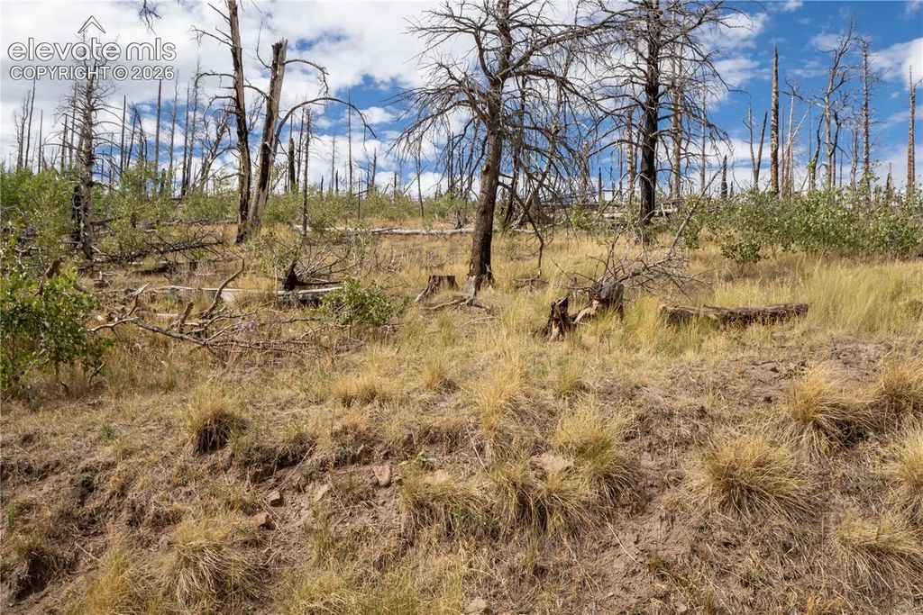 Lot 2748 Grojean Drive, Fort Garland