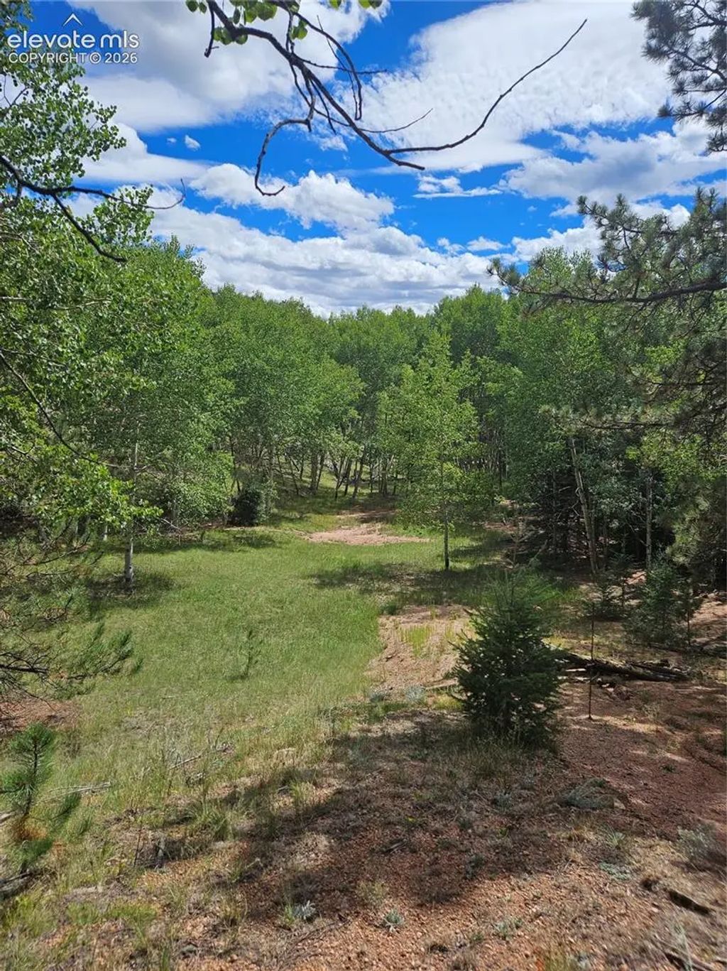 430 Pinon Lane, Florissant