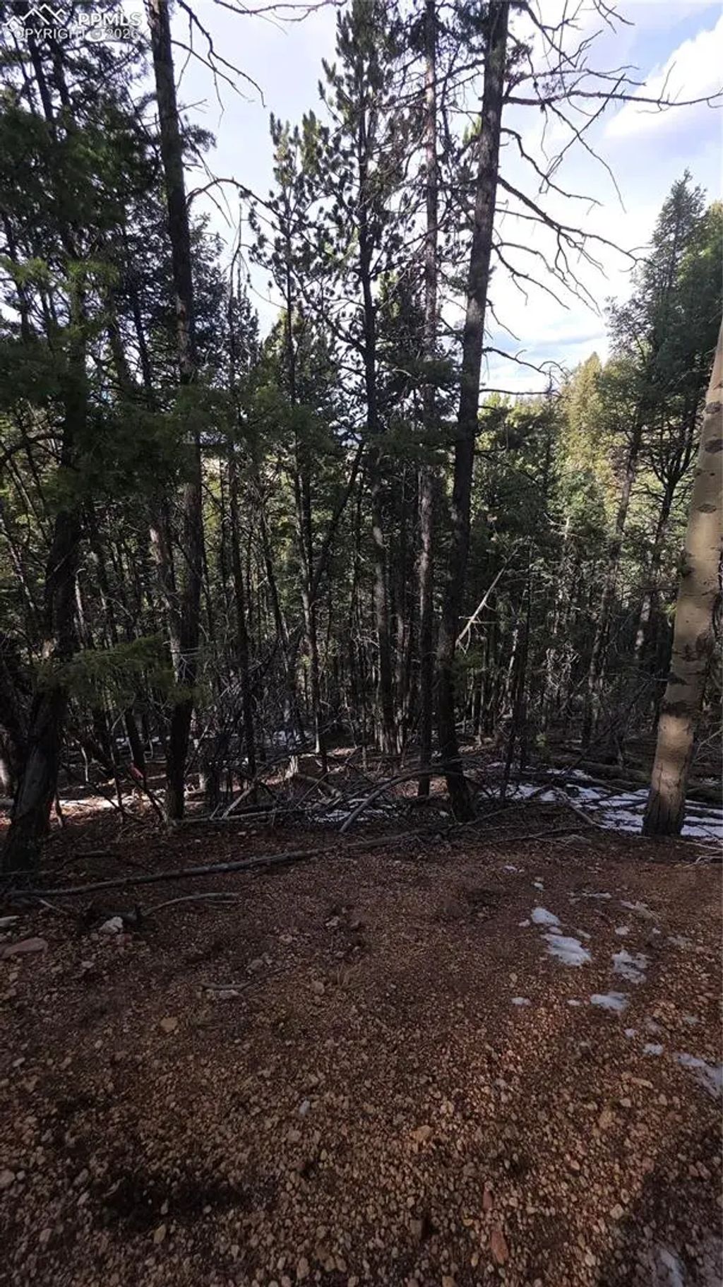 157 Gitchigoomee Trail, Woodland Park