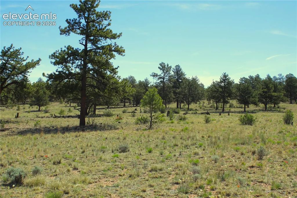 31572 Highway 9, Fairplay