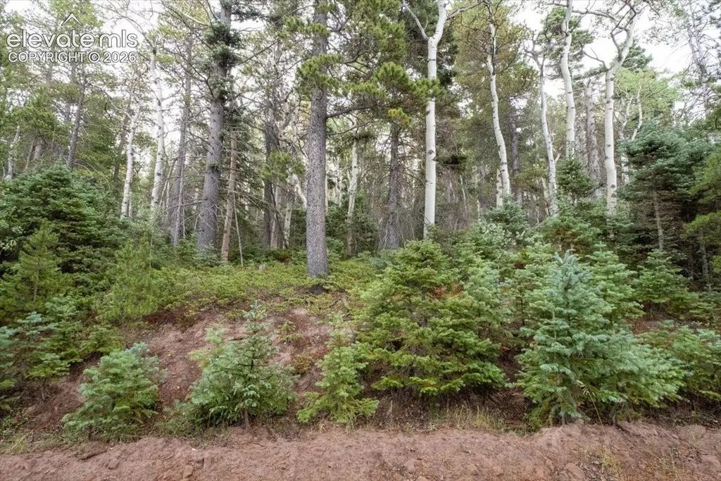 Lot 2614 Petito Drive, Fort Garland