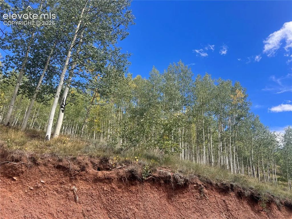 64 Grey Eagle Way, Cripple Creek