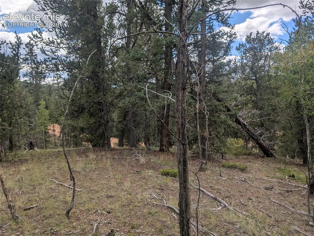 2455 Yorktown Road, Cripple Creek