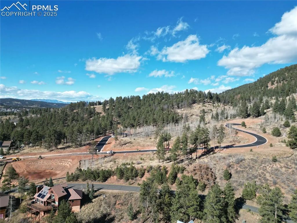 1410 Red Haven Place, Woodland Park