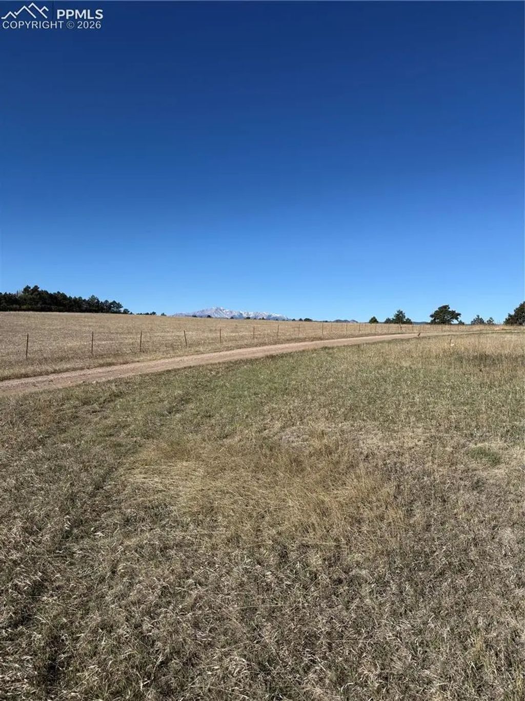 4553 Stewart Ranch Court, Colorado Springs