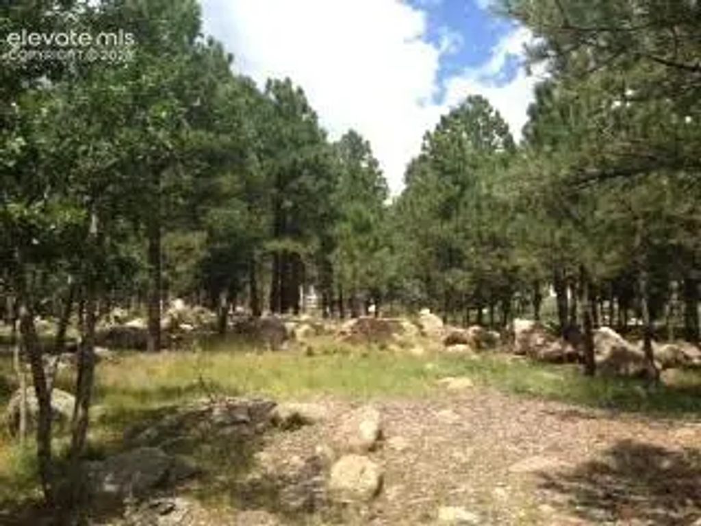 667 Silver Oak Grove, Colorado Springs