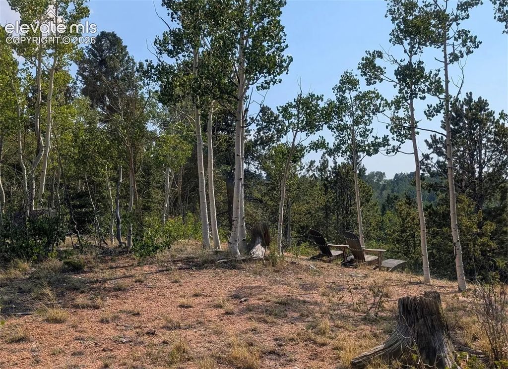 Fairview Drive, Cripple Creek
