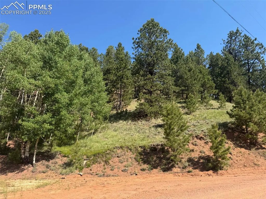 281 Pikes Peak Drive, Divide