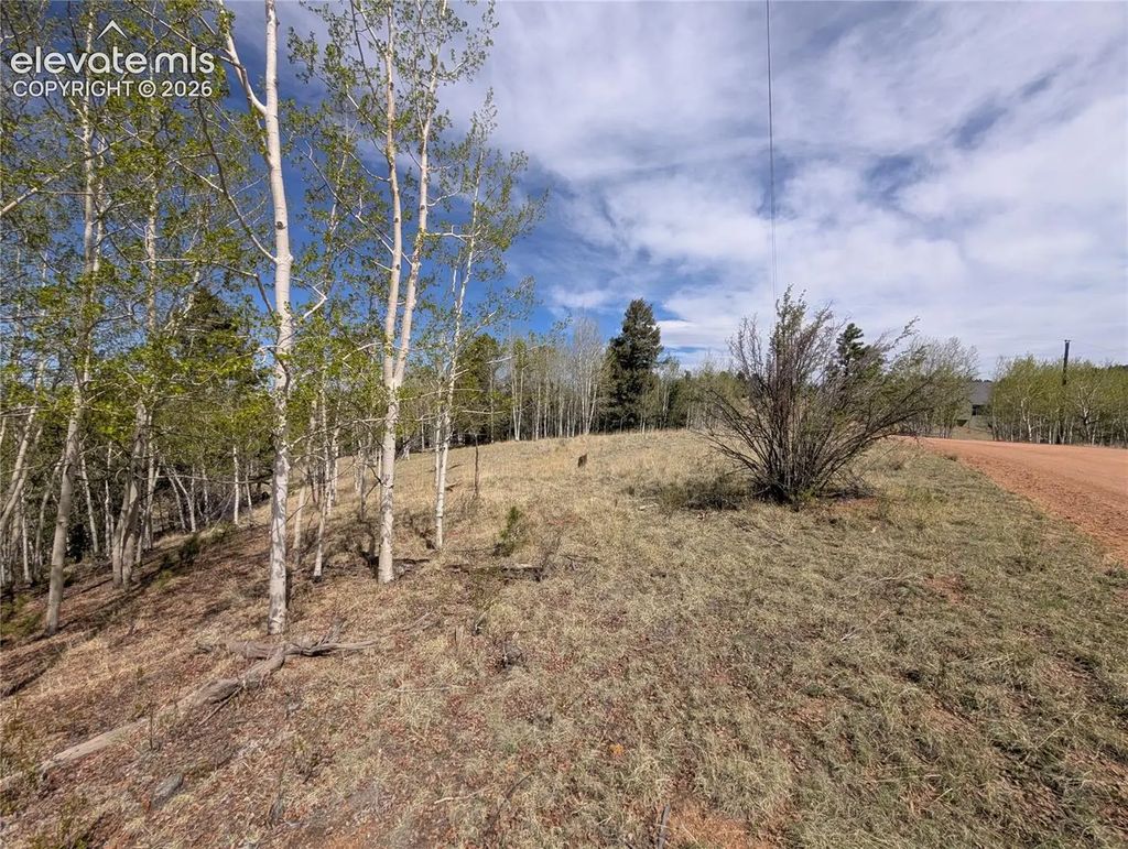 905 May Queen Drive, Cripple Creek
