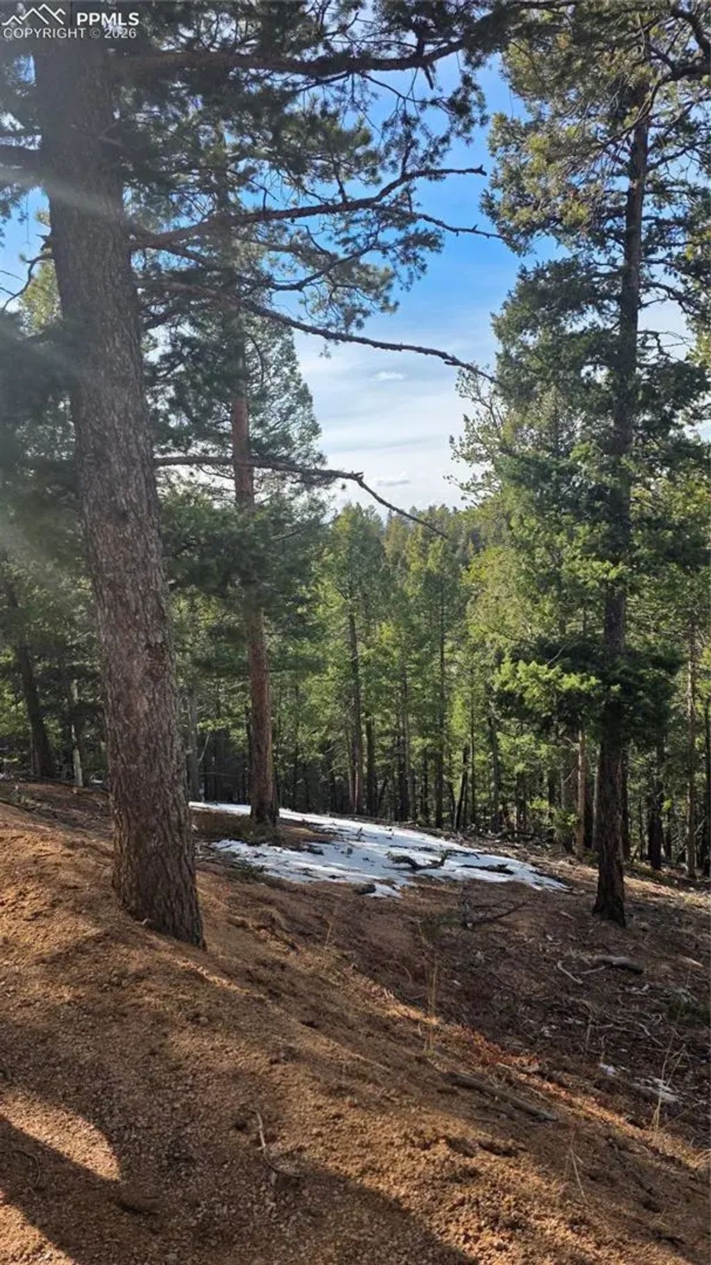 307 Tillicum Trail, Woodland Park