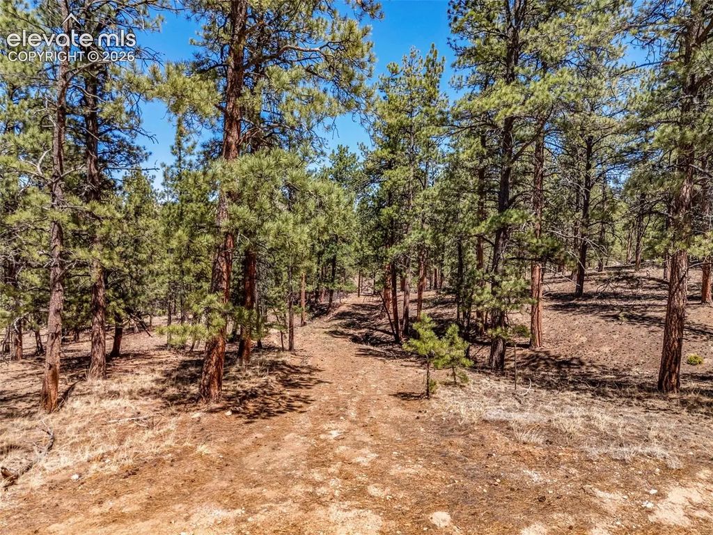 185 Sioux Trail, Westcliffe