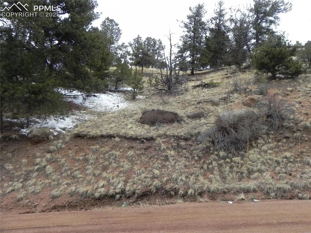 153 Idlewild Drive, Cripple Creek