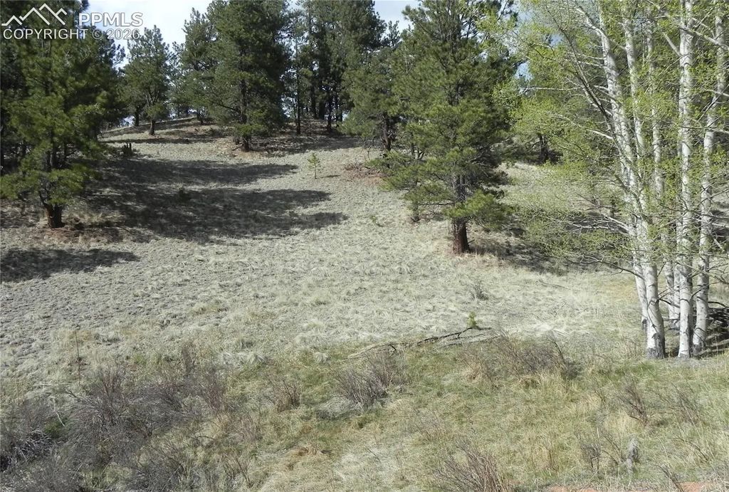 1699 Monarch Drive, Cripple Creek