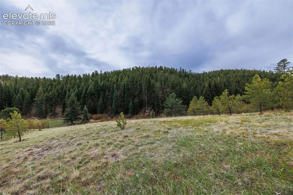521 University Drive, Woodland Park