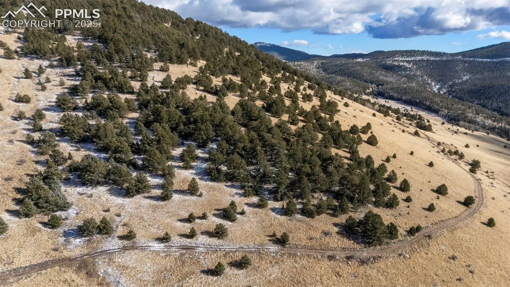Private Road, Cripple Creek