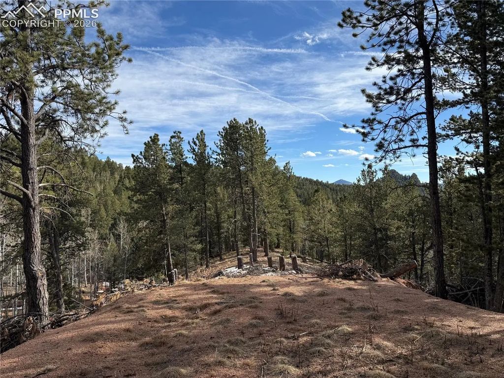 162 Eagle Drive, Divide