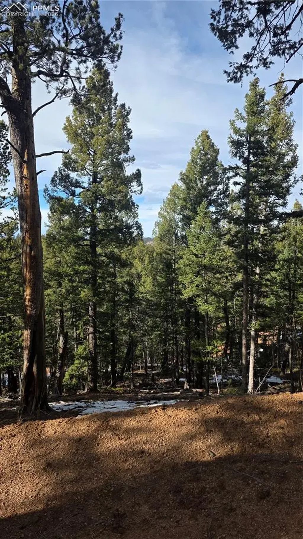 321 Tillicum Trail, Woodland Park