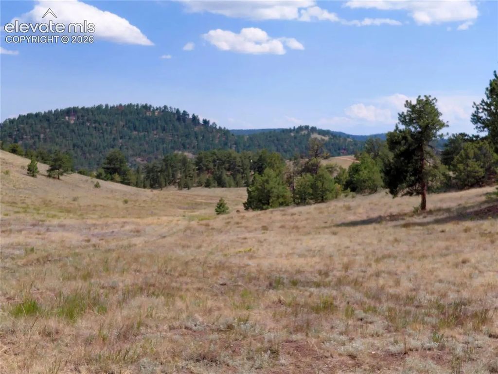 Tract 70 Owls Nest Road, Guffey