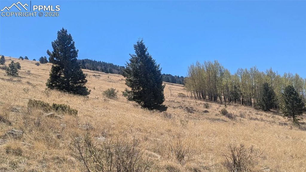 1960 Troy Drive, Cripple Creek