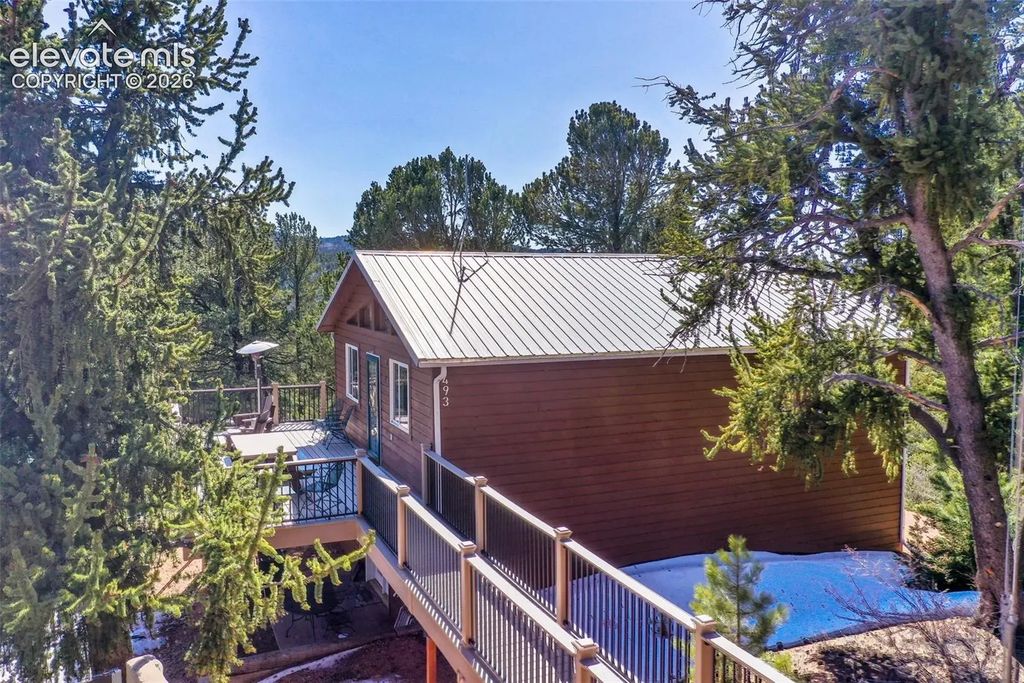 493 Horseshoe Drive, Divide