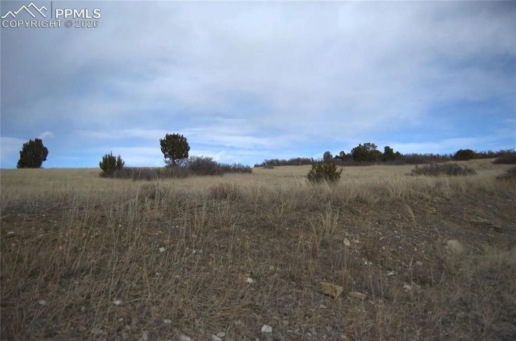 Rosemoore Drive, Colorado City