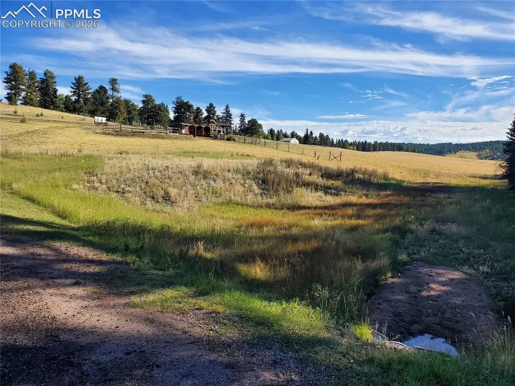 309 Pinaceae Heights, Divide