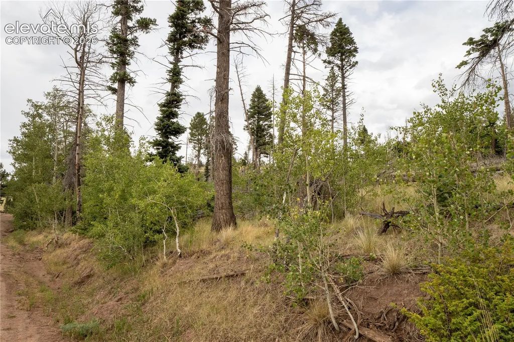 Lot 2571 Andes Loop, Fort Garland
