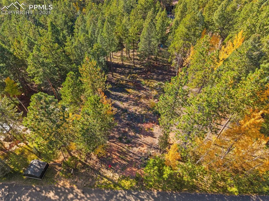 1320 Forest Edge Road, Woodland Park