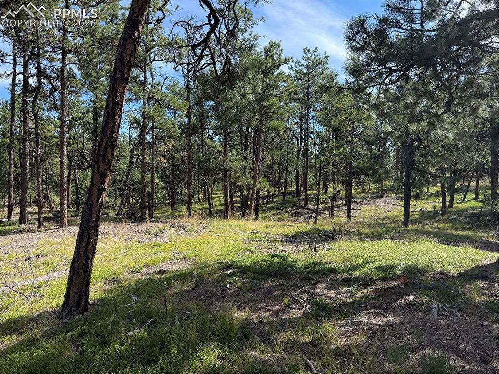 17405 E Goshawk Road, Colorado Springs
