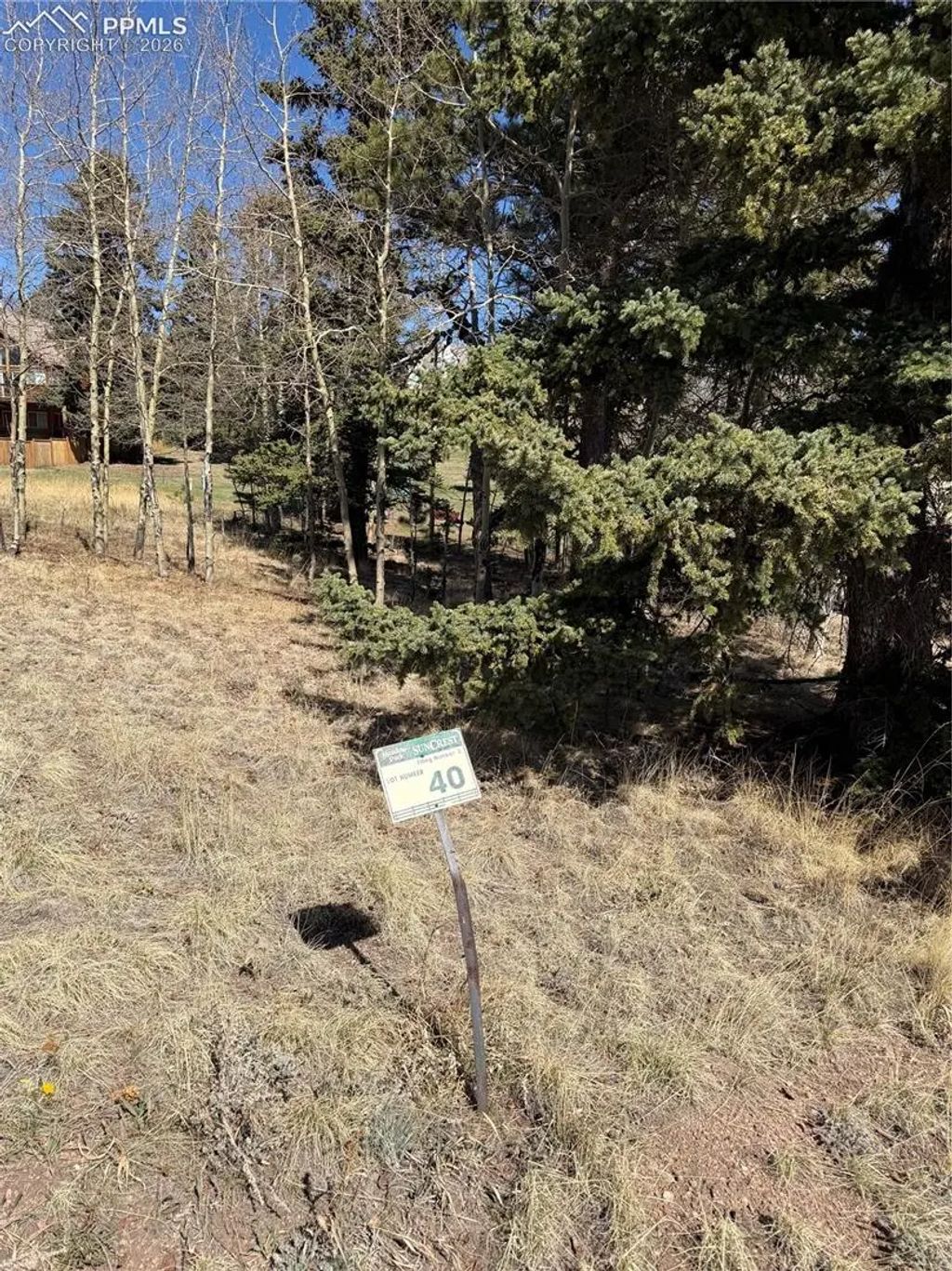 405 Meadow Park Drive, Divide