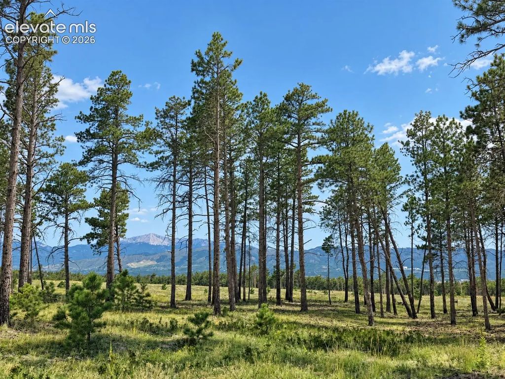 13525 Sterling Spires Heights, Colorado Springs