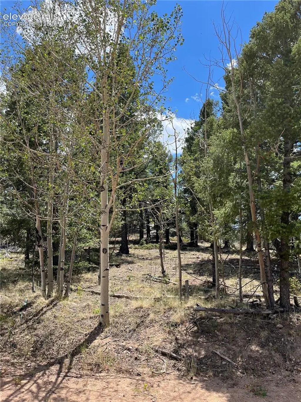 506 Castle Mountain Drive, Guffey