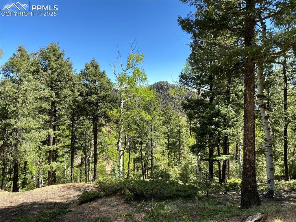 210 Waterfall Loop, Manitou Springs