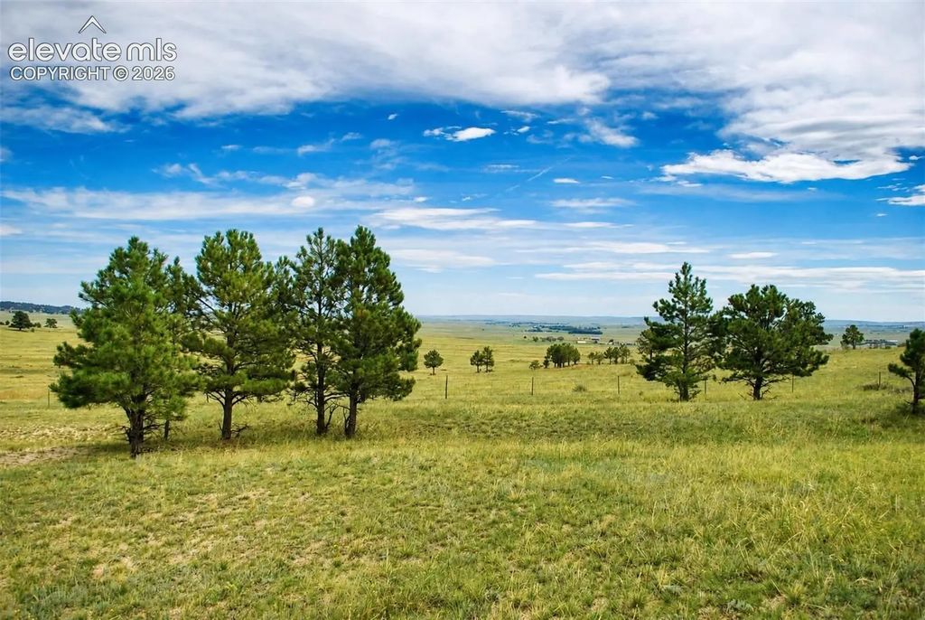 17265 Warriors Path Drive, Peyton