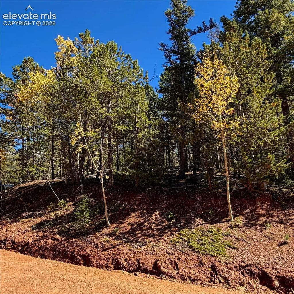 624 Witherite Drive, Divide