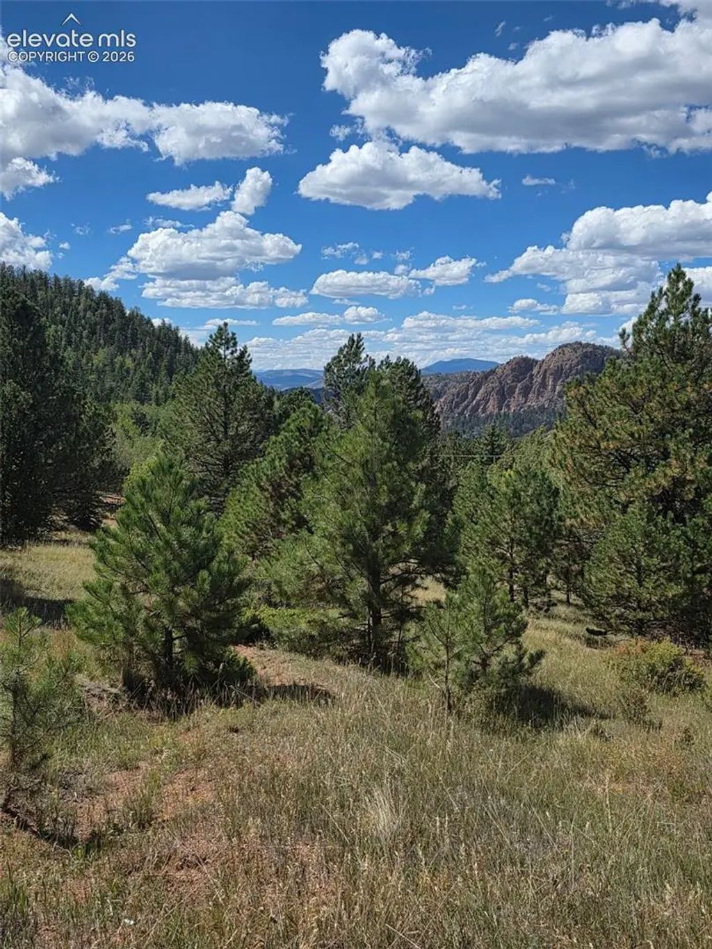 181 Troy Drive, Cripple Creek