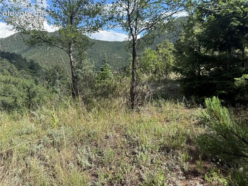 312 Upper Sun Valley Lane, Manitou Springs